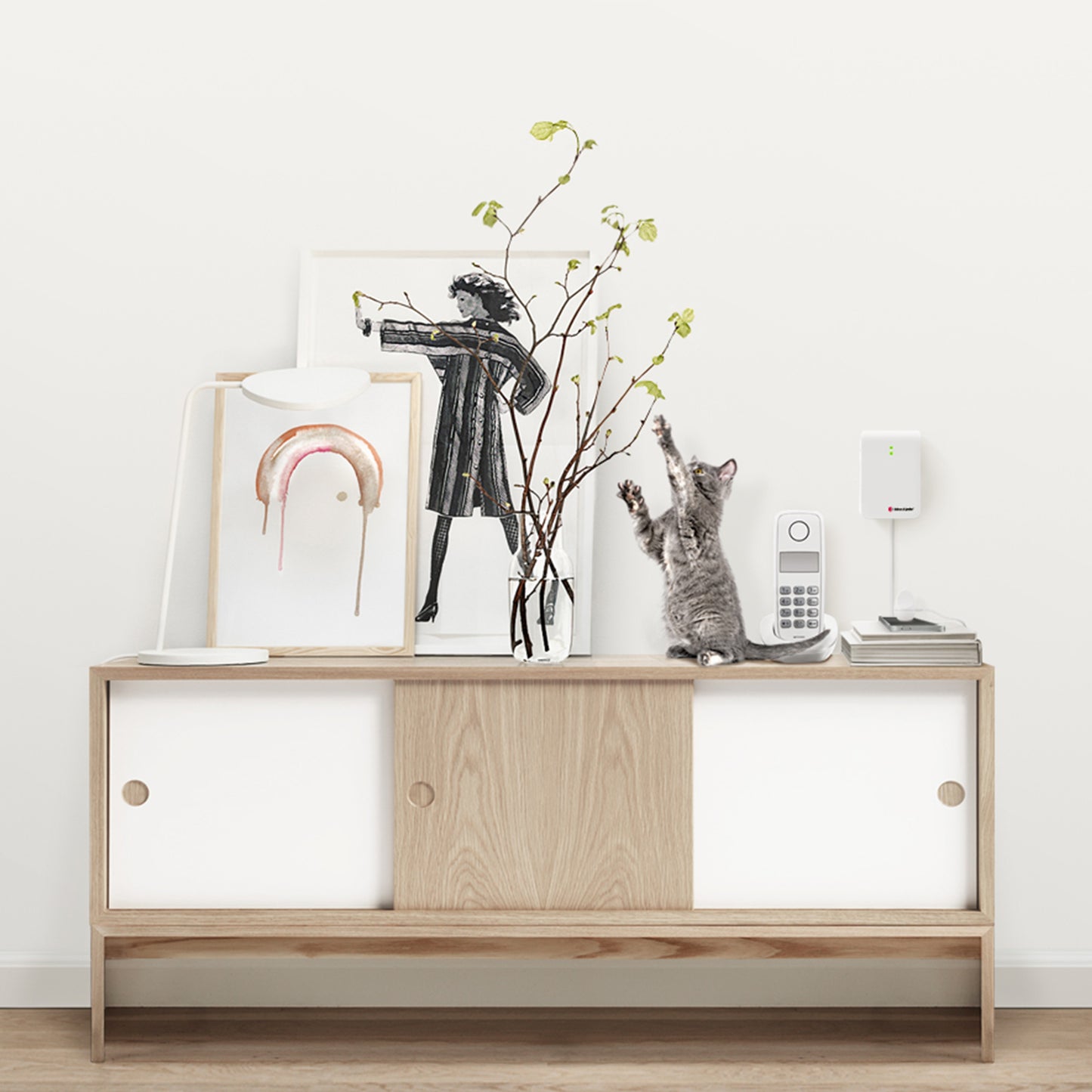 Bellman Visit Telephone/Multi-purpose Transmitter