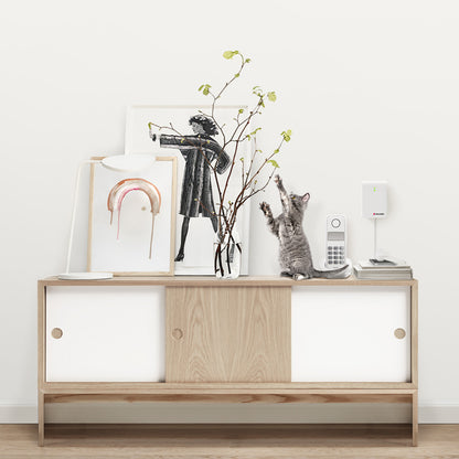 Bellman Visit Telephone/Multi-purpose Transmitter